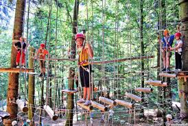 Kletterwald